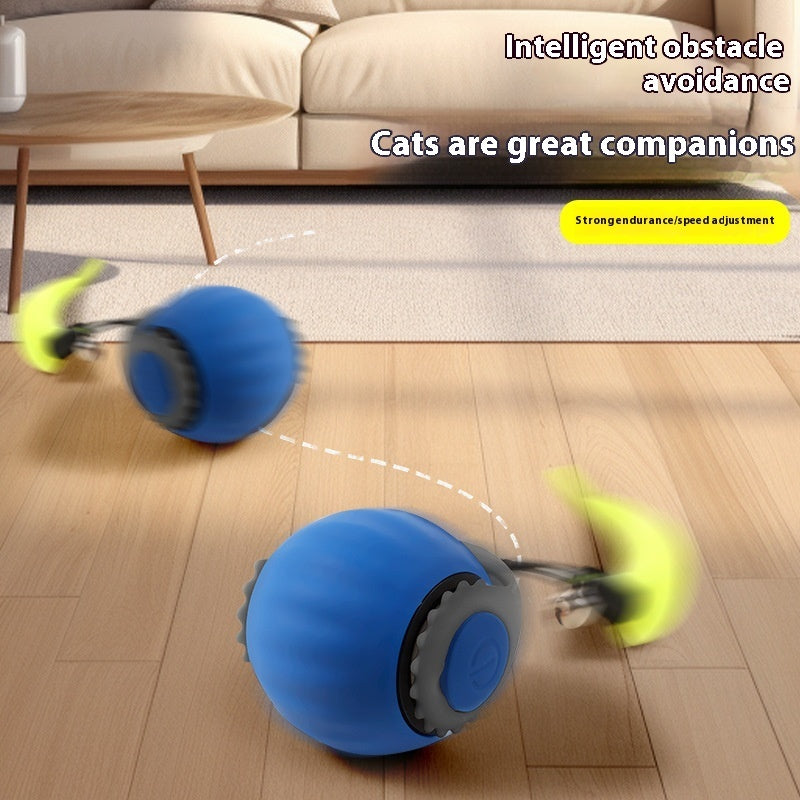Pet With Gravity Sudden Ball