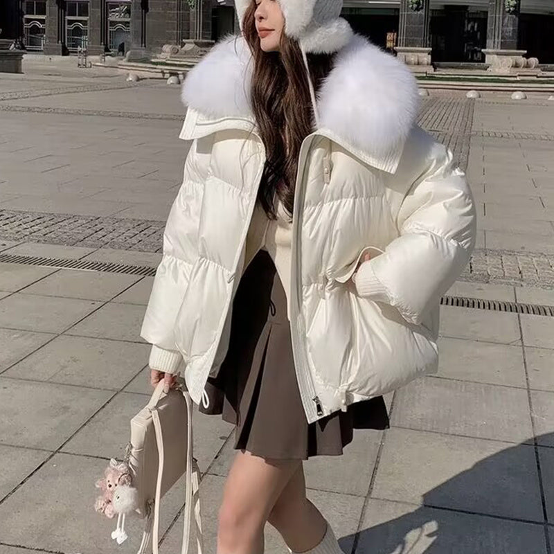 Down Cotton-padded Jacket