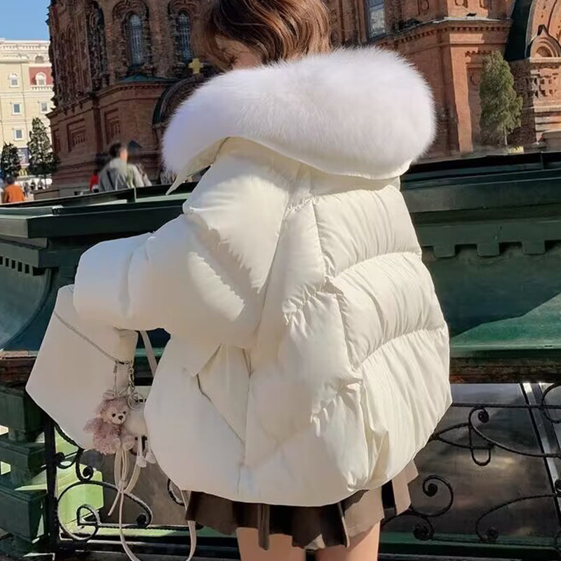 Down Cotton-padded Jacket